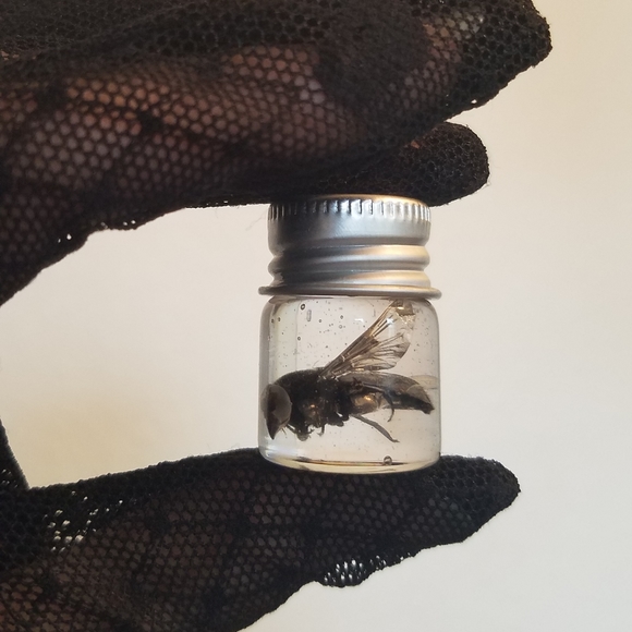 🦇𝕸𝖞 𝕺𝖉𝖉𝖎𝖙𝖞 𝕾𝖍𝖔𝖕🦇 - Picture 11 of 16